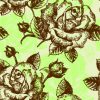 Drawing Roses