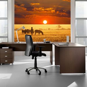 Africa Zebre