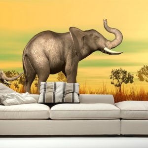 Africa Elefante