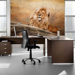 Africa Leone