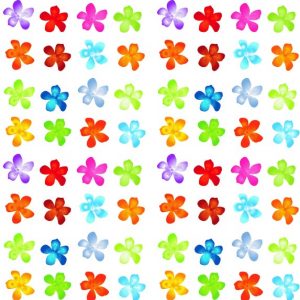 Fiori Colorati