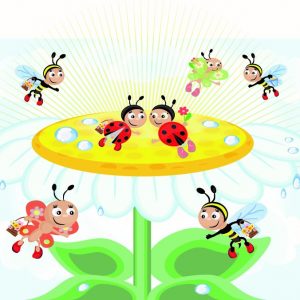 Apette E Coccinelle
