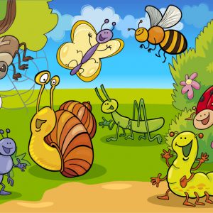 Il Mondo Degli Insetti