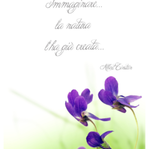 Adesivo Porta Immagine