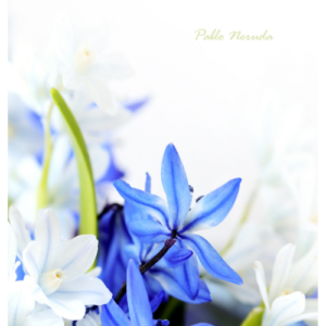 Adesivo Porta Primavera