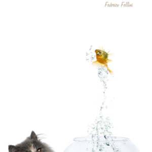 Adesivo Porta Gatto E Pesce