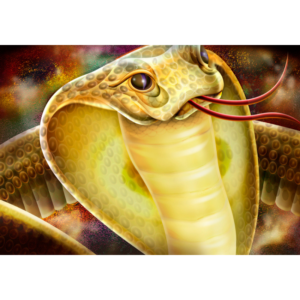 Tela Parete Cobra
